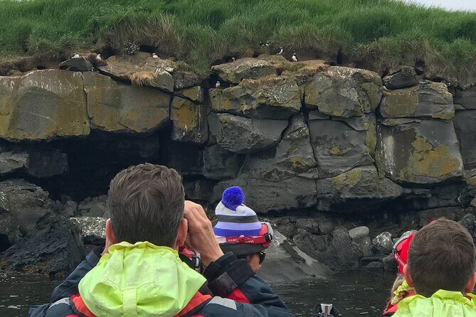 Puffin Watching Speedboat Express - Price and Value: Is $76 Worth It?