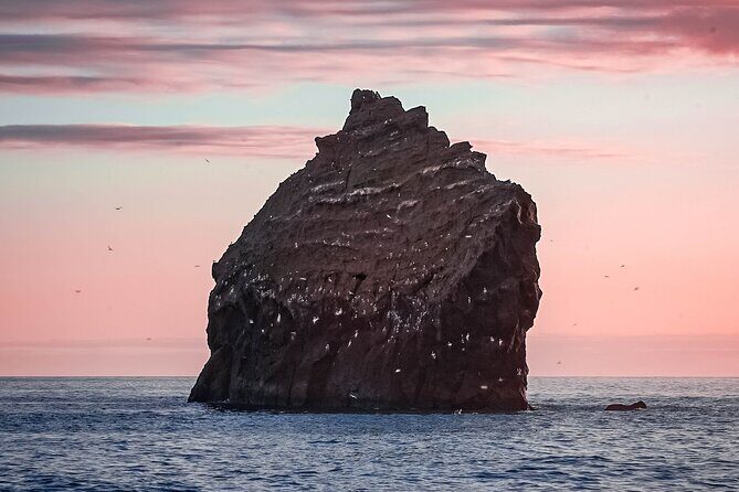 Reykjanes Peninsula Private tour Iceland - Reykjanes Peninsula: why this side of Iceland feels so different