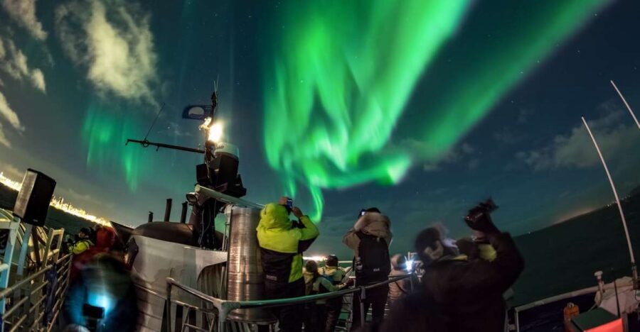 Reykjavik: 2-Hour Northern Lights by Boat with Backup Plan - Key things I’d look for before booking