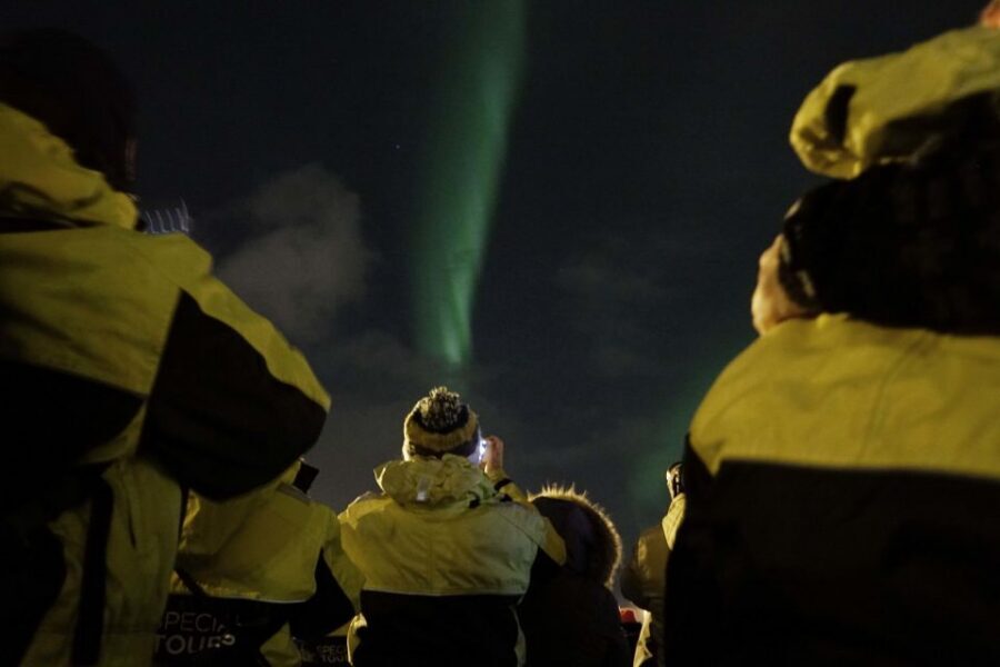 Reykjavik: 2-Hour Northern Lights by Boat with Backup Plan - If the clouds win: Whales of Iceland Exhibition as the Plan B