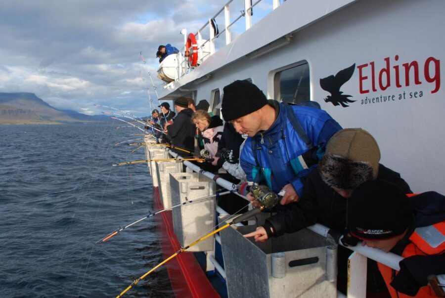 Reykjavik: 3-Hour Sea Angling Gourmet Experience Tour - The BBQ onboard: why the meal tastes like your trip