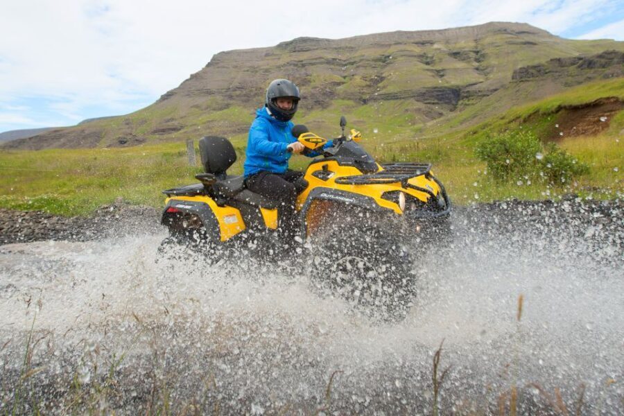 Reykjavik: ATV Ride & Whale Watching Boat Tour - Entering Reykjavik’s Day: Pickup, Safety Briefing, and What Starts at 09:00
