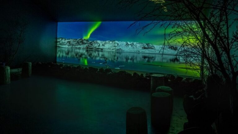 Reykjavik: Aurora Reykjavik The Northern Lights Center Entry