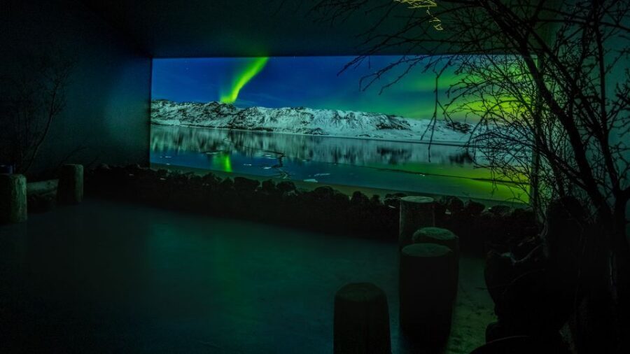Reykjavik: Aurora Reykjavik The Northern Lights Center Entry - Northern lights folklore and the science you can actually use