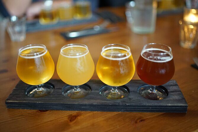 Reykjavik Beer & Booze Tour - Who this tour is perfect for