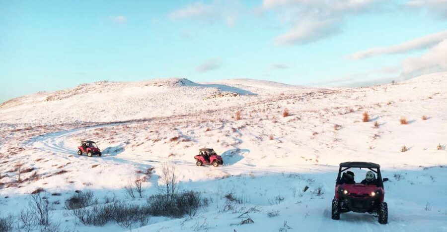 Reykjavik: Buggy Safari Tour with Hotel Transfers - Key points to know before you go