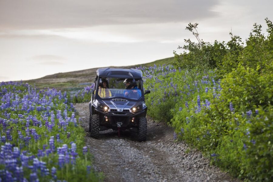 Reykjavik: Buggy Safari Tour with Hotel Transfers - Reykjavik Peak: the guided hour where the views land