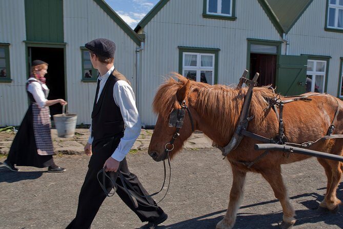 Reykjavik City Card 24-hour - Thermal pools and zoo: the fun payoff for using the card
