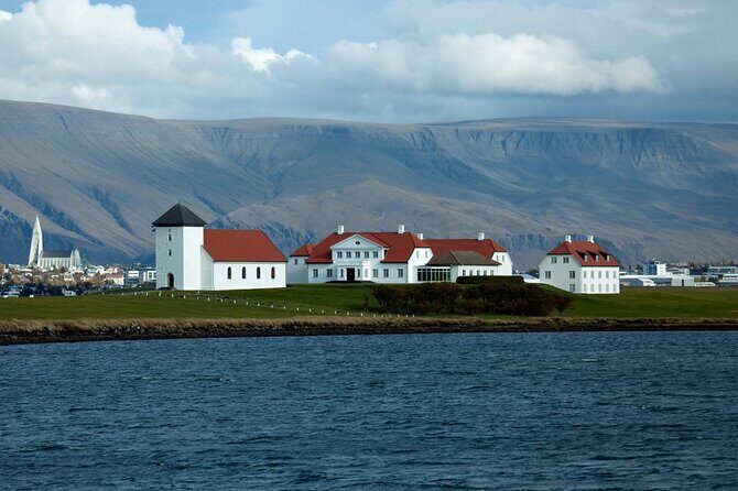 Reykjavik City Private Tour - Hallgrímskirkja: tallest church in Iceland and panoramic tower views