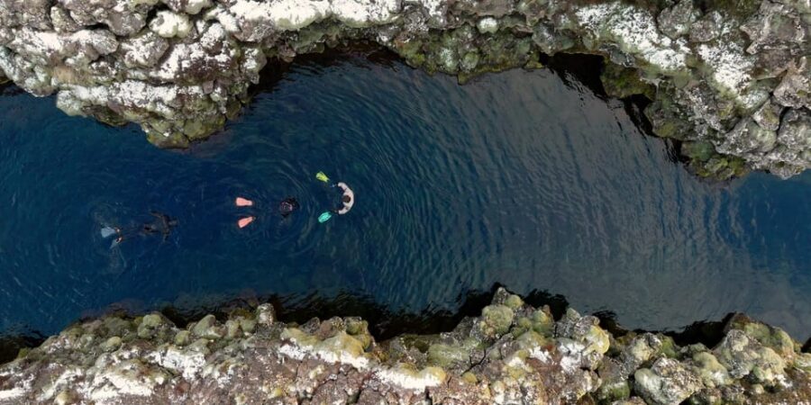 Reykjavik Combo: Horse Riding & Snorkeling in Silfra Fissure - Price and value: is $322 a fair deal?