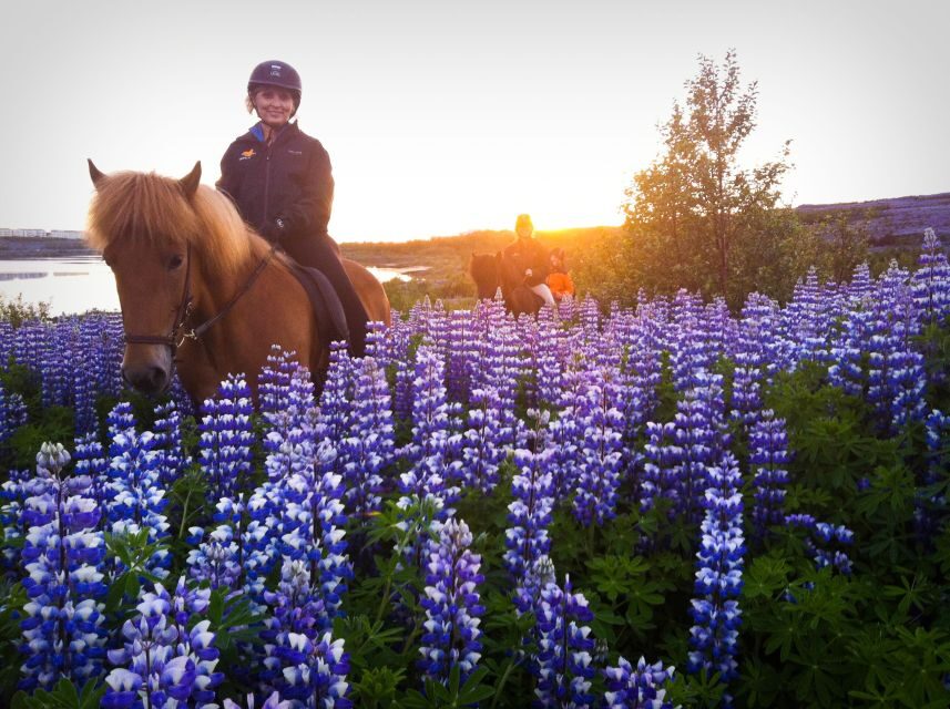 Reykjavik: Evening Sleipnir Horse Riding Tour with Pickup - Viking Horses stables: lesson, helmets, rain clothes, and kleina