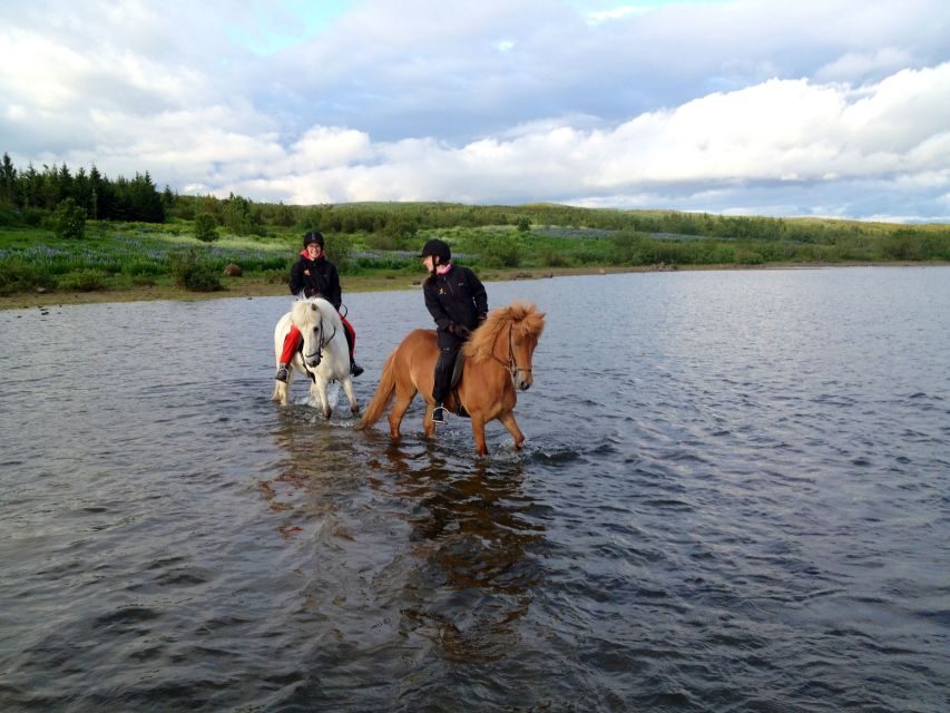 Reykjavik: Evening Sleipnir Horse Riding Tour with Pickup - Rauðhólar’s red lava formations: the scenery that makes evening timing worth it