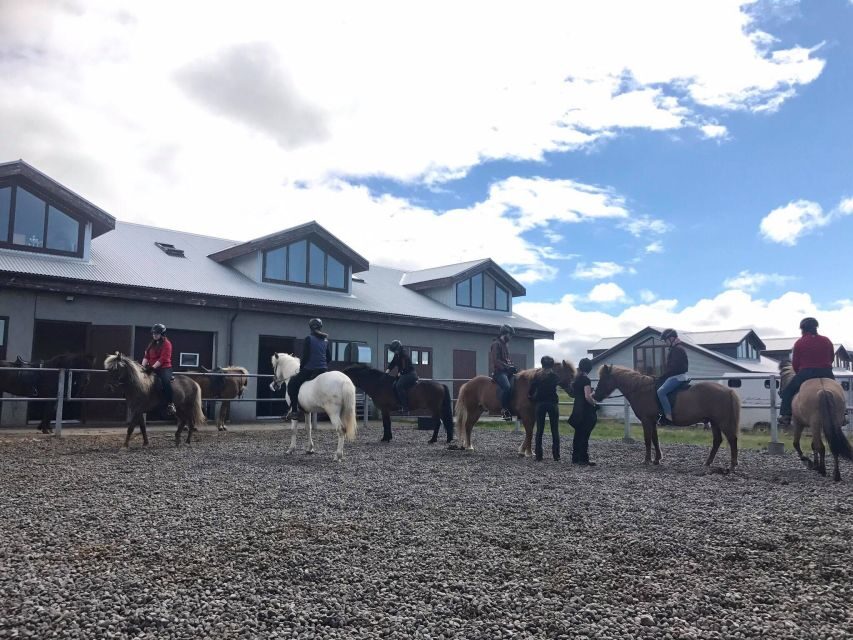 Reykjavik: Evening Sleipnir Horse Riding Tour with Pickup - Should you book this Reykjavik horse riding tour?