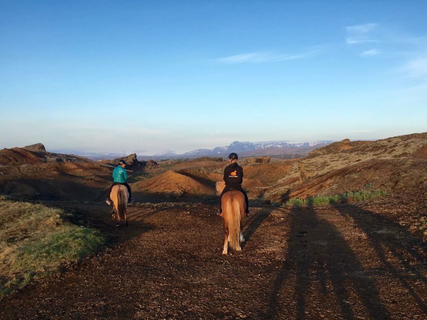 Reykjavik: Evening Sleipnir Horse Riding Tour with Pickup - The small-group evening ride that fits Reykjavik’s schedule
