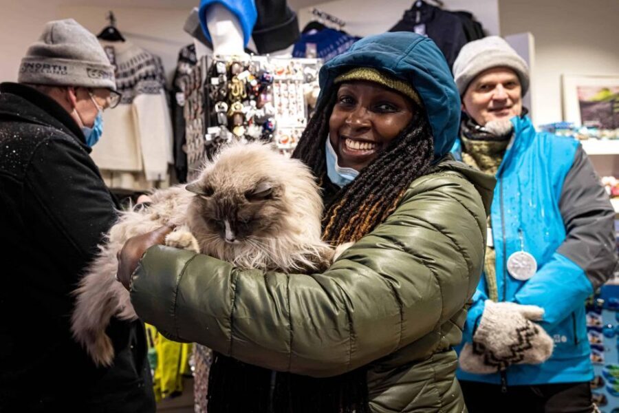 Reykjavik: Feline-Focused City Walking Tour - Reykjavik’s cat culture starts with survival, not souvenirs