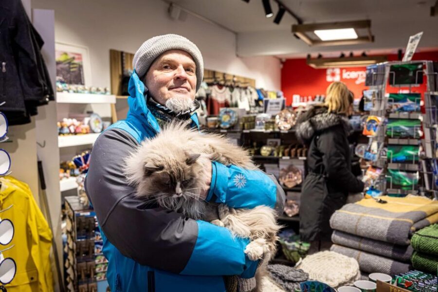 Reykjavik: Feline-Focused City Walking Tour - Ingólfstorg Square pillars and the first cat legend beats