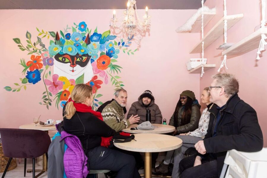 Reykjavik: Feline-Focused City Walking Tour - Celebrity cats and how to handle the “will we see them all?” question