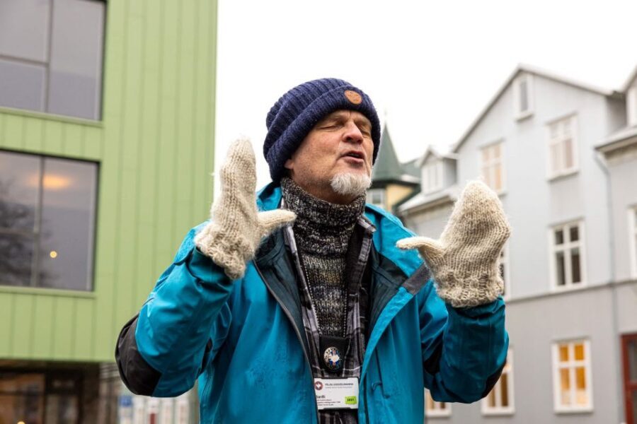 Reykjavik: Feline-Focused City Walking Tour