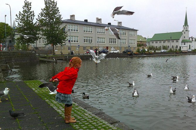 Reykjavik Food Tour and City Walk - PRIVATE TOUR - Ice Cream Stop: Because Yes, Iceland Does Dessert Right