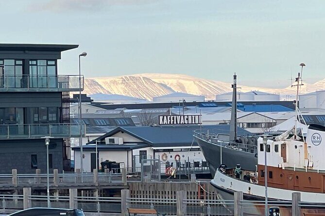 Reykjavik Food Tour - Old Harbor Walking Tour - Northern Lights Center Stop: Understanding Iceland’s Daily Culture