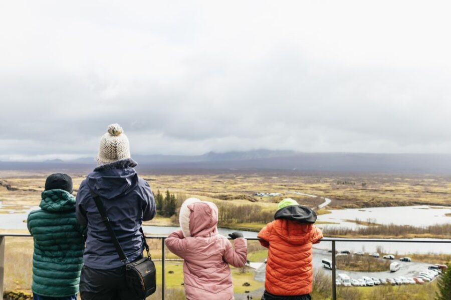 Reykjavik: Golden Circle, Crater & Blue Lagoon Minibus Tour - Should you book the Golden Circle, crater, and Blue Lagoon minibus tour?