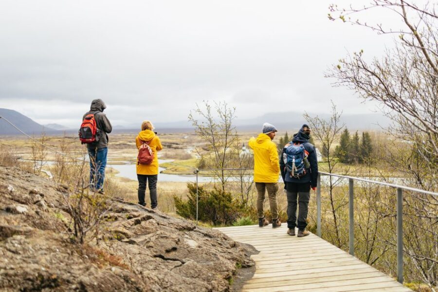 Reykjavik: Golden Circle, Crater & Blue Lagoon Minibus Tour - Who should book this tour, and who should skip it