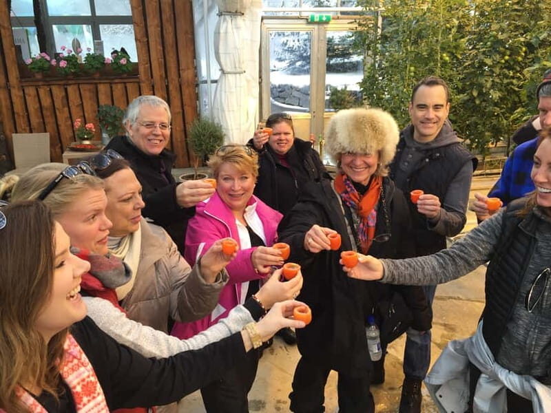 Reykjavik: Golden Circle, Fridheimar, & Sky Lagoon Day Trip - Key highlights worth planning for