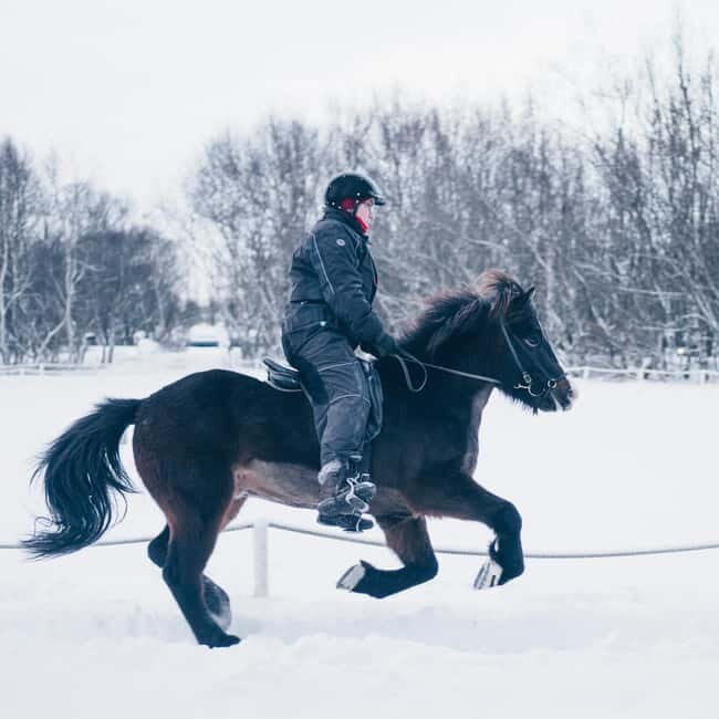 Reykjavik: Golden Circle, Fridheimar, & Sky Lagoon Day Trip - Time management on a 10.5-hour schedule (and how to beat the stress)