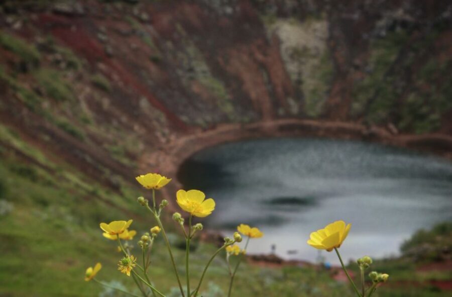 Reykjavík: Golden Circle Geological Jeep Day Trip - Gullfoss waterfall: raw power with enough time to look closely