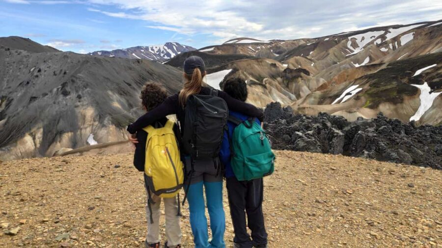 Reykjavík/Hella: Landmannalaugar Highlands Full-Day Trip - Trekking Through Lava Fields and Multicolored Terrain