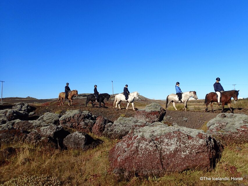 Reykjavík: Horse Riding Tours - Key things to know before you book