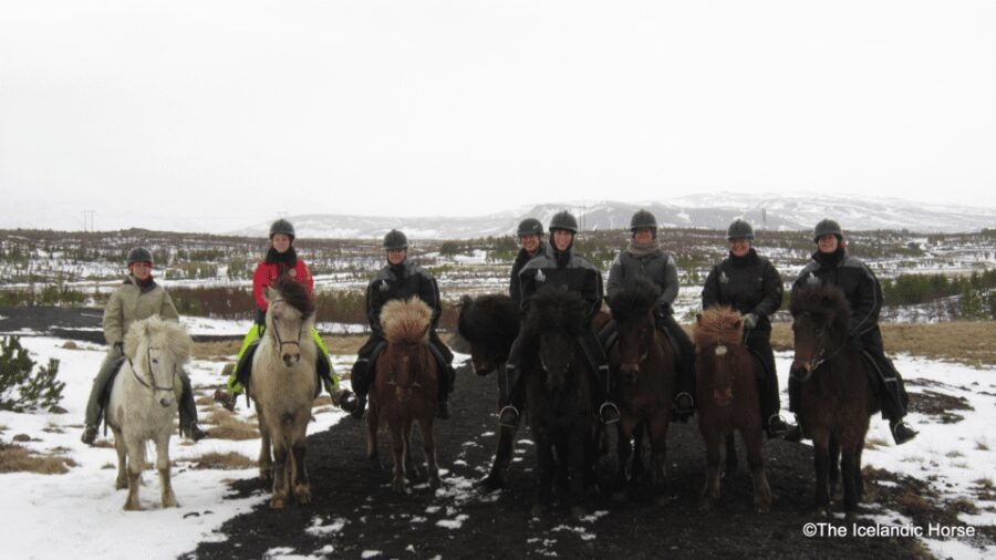 Reykjavík: Horse Riding Tours - Safety rules you should read before you go