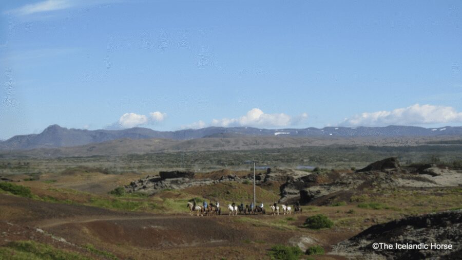 Reykjavík: Horse Riding Tours - On the saddle: what the ride feels like (and why tölt is a big deal)