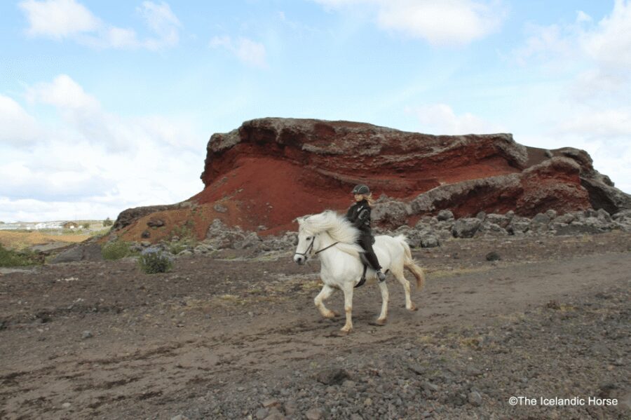 Reykjavík: Horse Riding Tours - Volcanic country and Redhill views from horseback