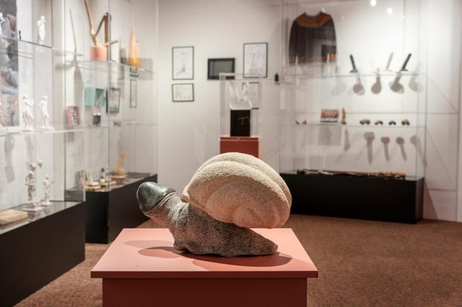 Reykjavik: Icelandic Phallological Museum Entry Ticket - Key Highlights You’ll Care About
