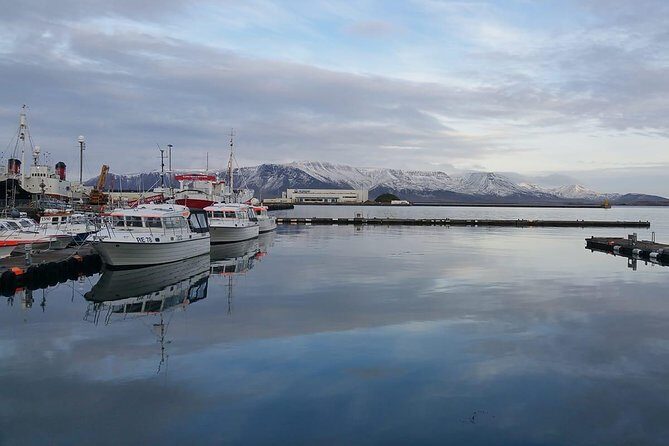 Reykjavik Main Sights and Hidden Spots: A Self-Guided Audio Walk - A short, practical way to “read” Reykjavik on foot