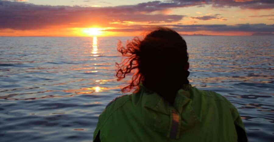 Reykjavík: Midnight Sun Whale Watching Cruise - Key Things I Think You’ll Care About
