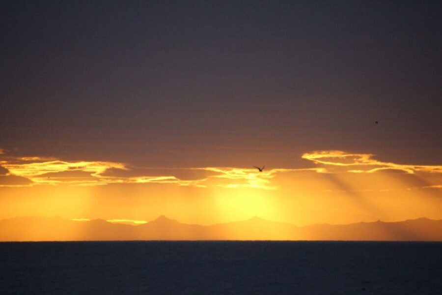 Reykjavík: Midnight Sun Whale Watching Cruise - Your Outfit Plan: Overalls Onboard, Warm Layers Off It