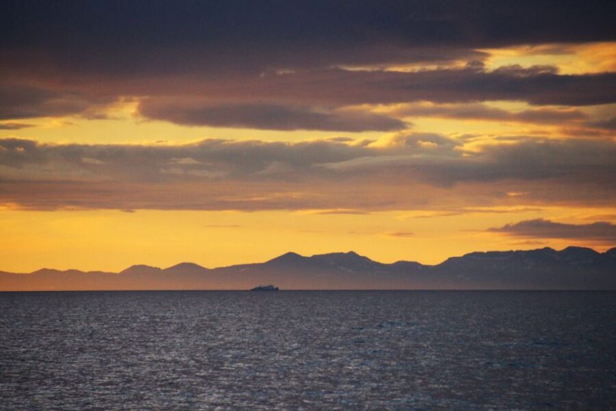 Reykjavík: Midnight Sun Whale Watching Cruise - The Midnight Sun Effect: Why the Light Changes Everything