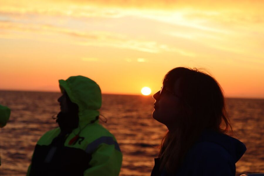 Reykjavík: Midnight Sun Whale Watching Cruise - Weather and Captain Decisions: When Plans Change