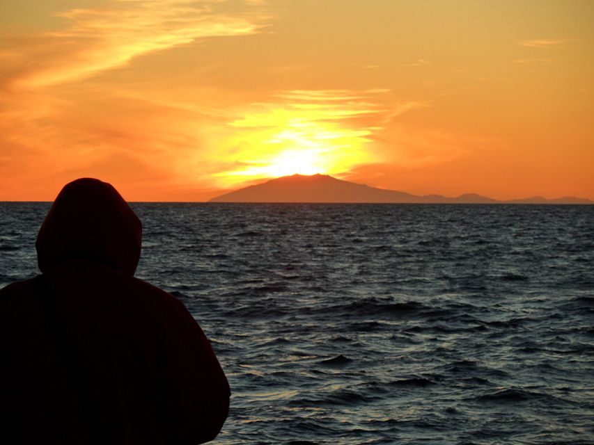 Reykjavik: Midnight Sun Whale Watching Tour - Midnight sun whale watching off Reykjavík’s Faxafloi Bay