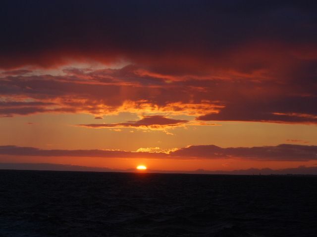 Reykjavik: Midnight Sun Whale Watching Tour - Should you book Reykjavik: Midnight Sun Whale Watching Tour?