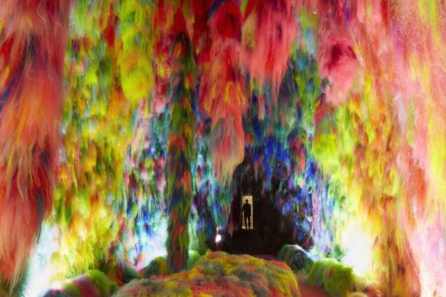 Reykjavík: Multi-Sensory Art Installation Chromo Sapiens - Key takeaways before you go