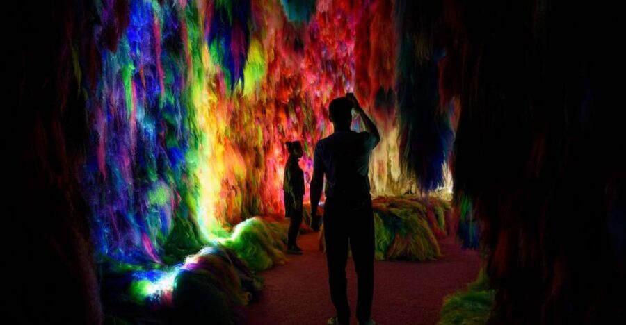 Reykjavík: Multi-Sensory Art Installation Chromo Sapiens - Cave One: entering as homo sapiens