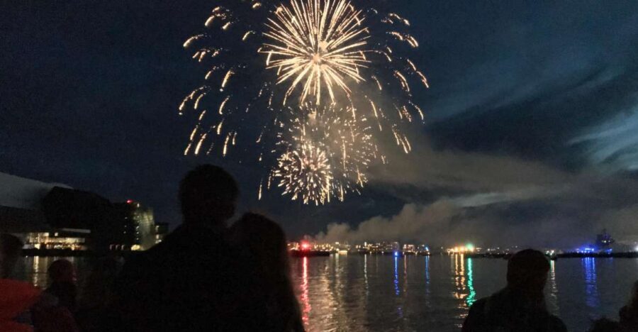 Reykjavik: New Year's Eve Fireworks Cruise - What the 11 pm departure and midnight return really feel like
