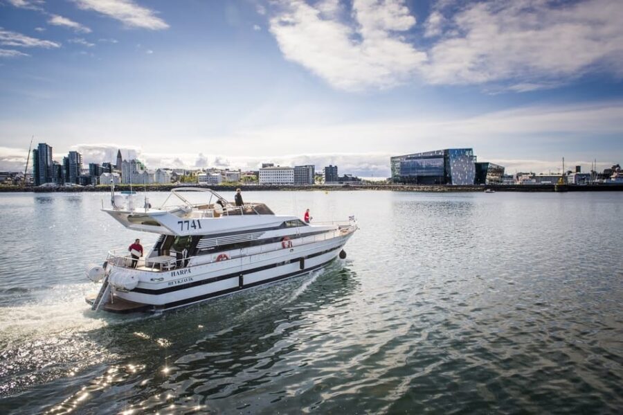 Reykjavík: New Year's Eve Northern Lights Yacht Cruise - Reykjavik New Year’s Eve, But From a Yacht
