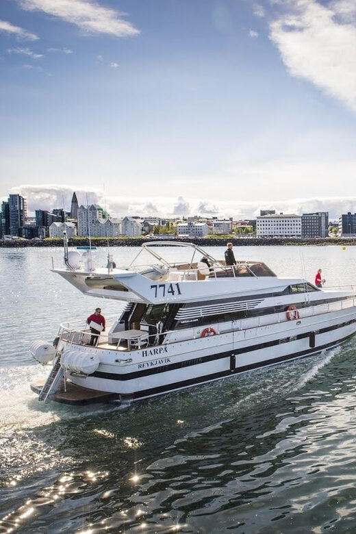 Reykjavík: New Year's Eve Northern Lights Yacht Cruise - Price and Value: Is $140 a Smart Spend?