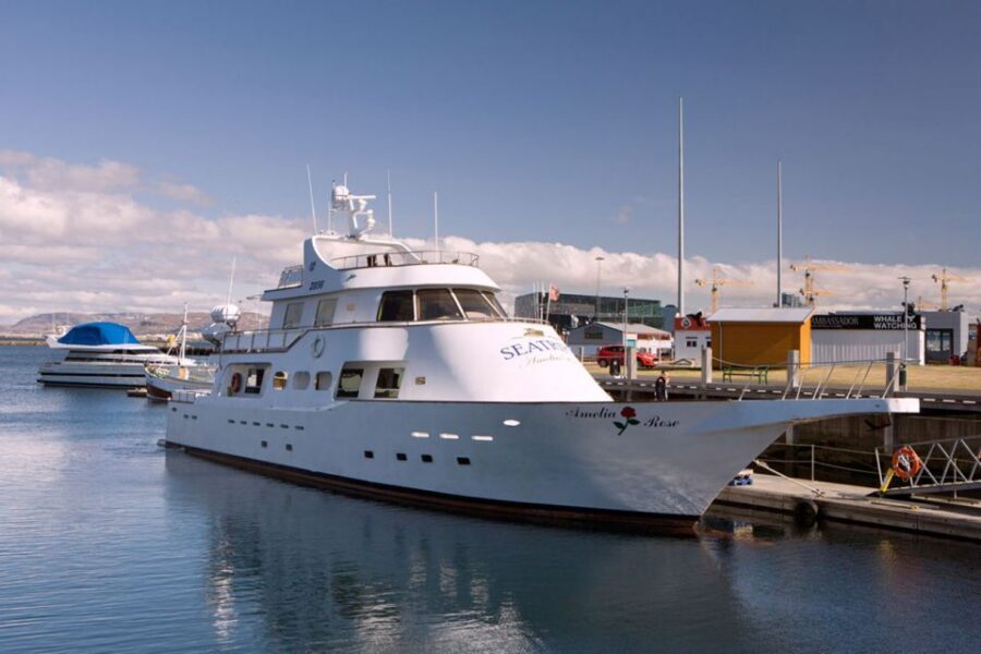 Reykjavik: New Years Fireworks Midnight Cruise - Champagne, Wi‑Fi, and the Bar: What’s Included vs. What Costs Extra