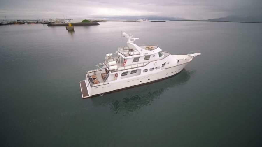 Reykjavik: New Years Fireworks Midnight Cruise - Northern Lights: The Best Bonus, Not a Guarantee