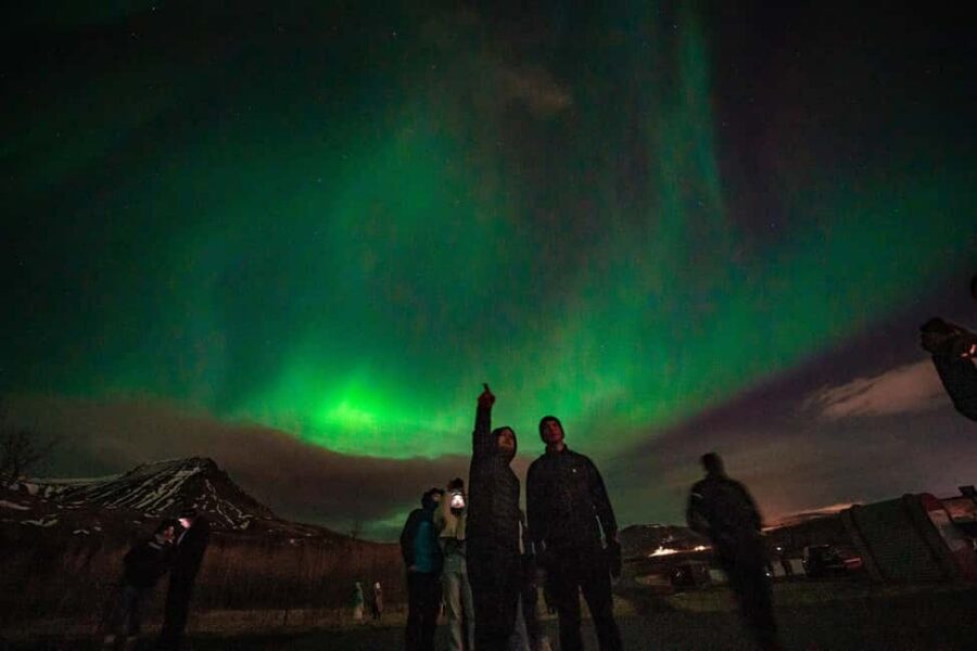 Reykjavik: Northern Lights Group Tour with Photos - Reykjavik pickup to night-sky searching: how the 4-hour rhythm feels